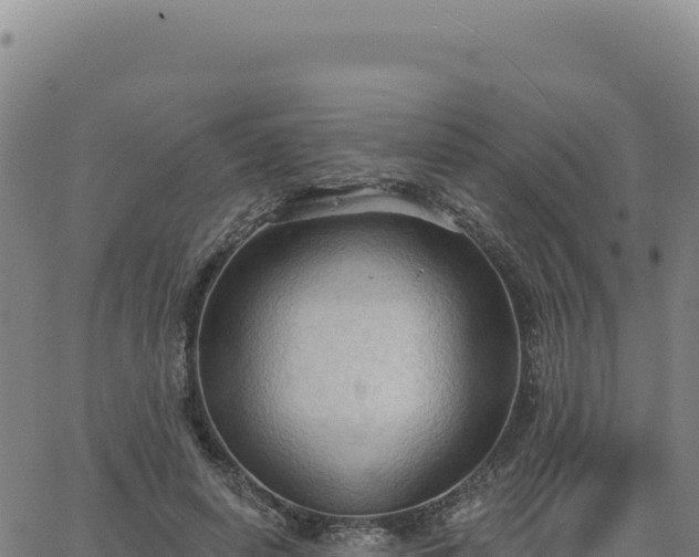 X0000063480642200601271656