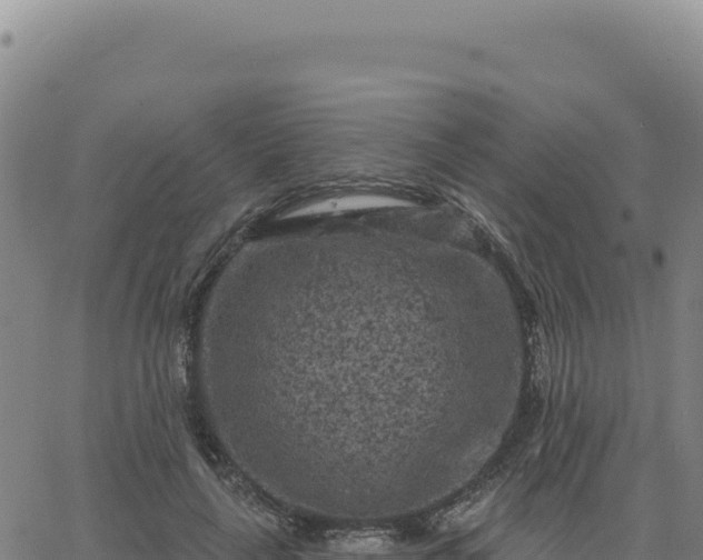 X0000063480643200601271656