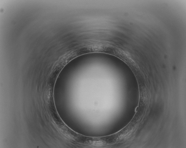 X0000063480645200601271656