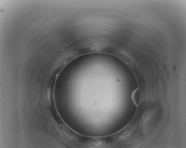 X0000063480646200601271656