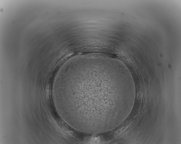 X0000063480647200601271656