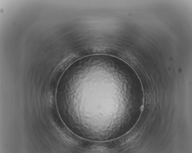 X0000063480648200601271656