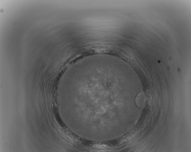 X0000063480650200601271656