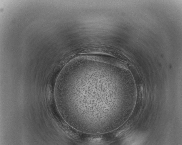 X0000063480651200601271656