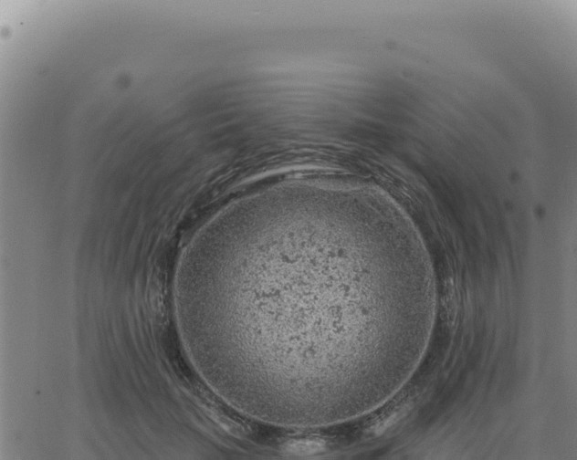 X0000063480653200601271656