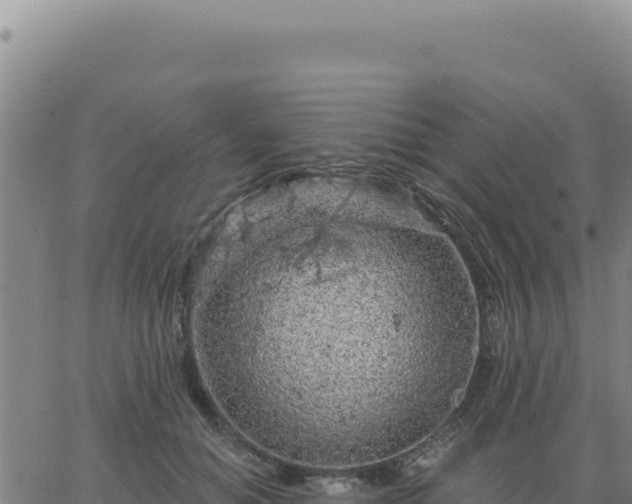 X0000063480654200601271656