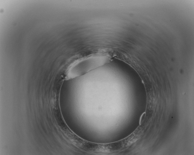 X0000063480656200601271656