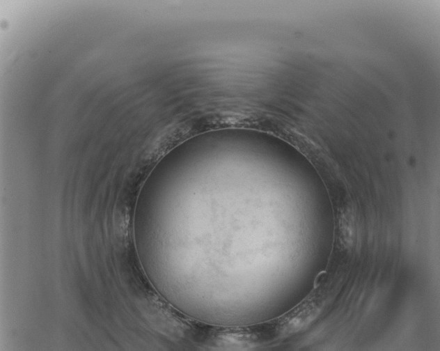 X0000063480657200601271656