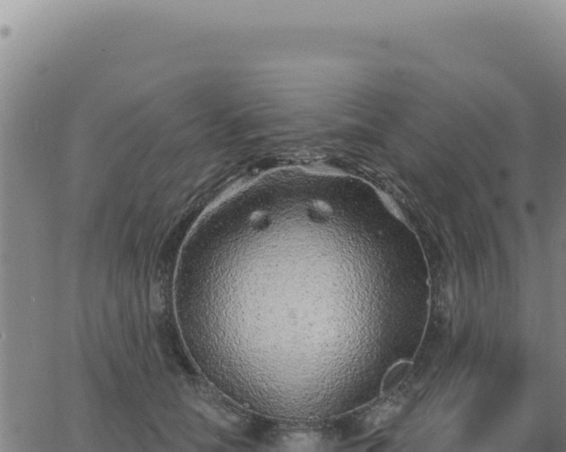 X0000063480658200601271656