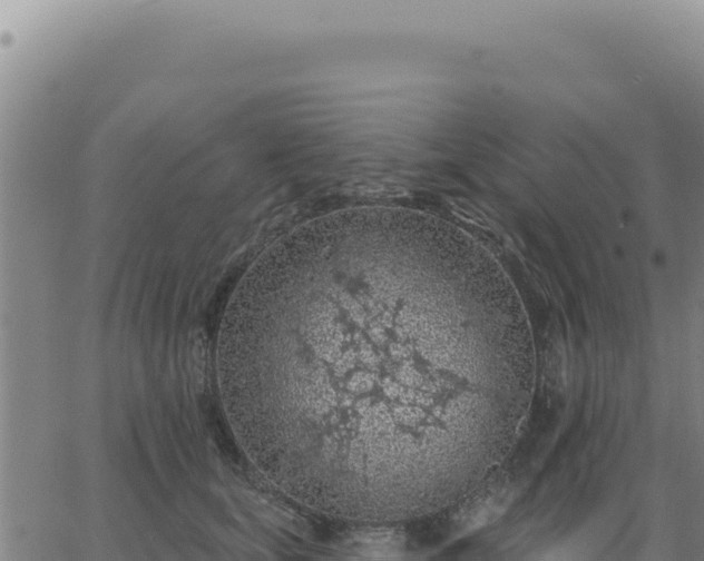 X0000063480659200601271656