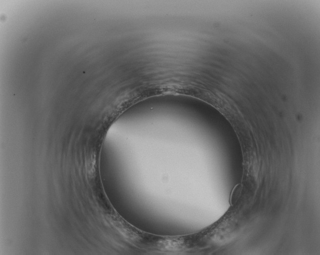 X0000063480660200601271656