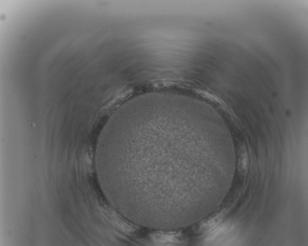 X0000063480661200601271656