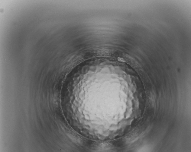 X0000063480663200601271656