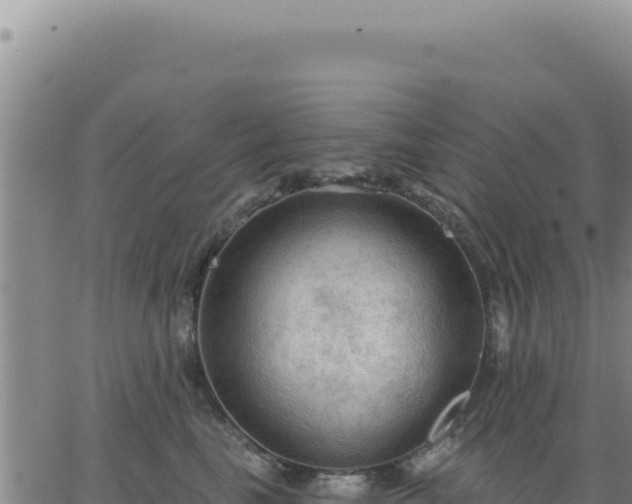 X0000063480665200601271656