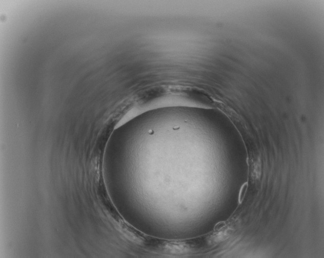 X0000063480666200601271656