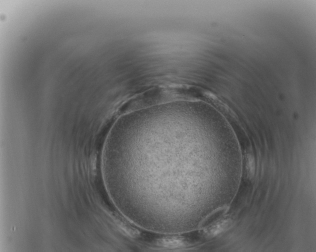 X0000063480668200601271656