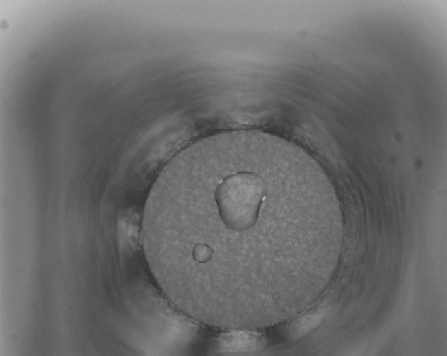 X0000063480672200601271656