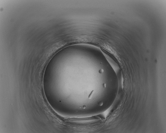 X0000063480673200601271655