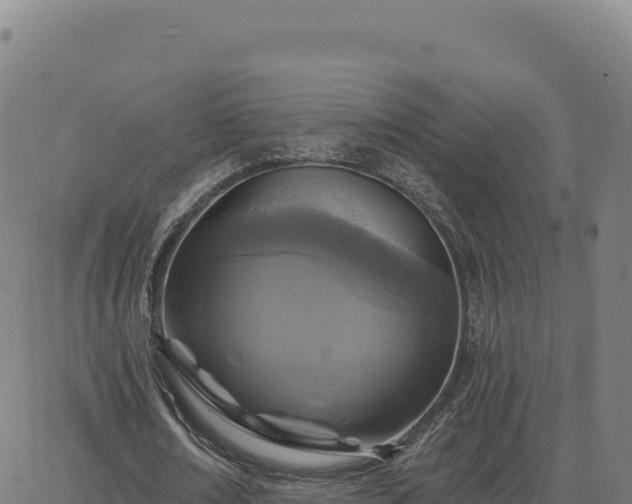 X0000063480674200601271655