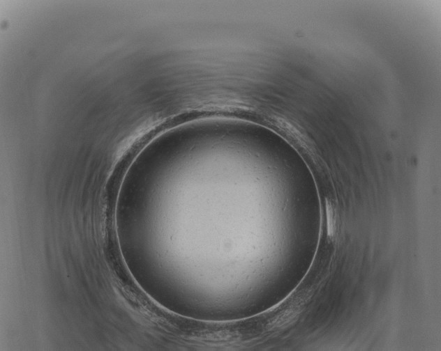 X0000063480675200601271655