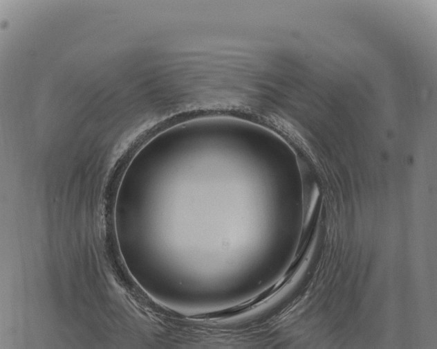 X0000063480676200601271655