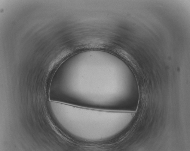 X0000063480677200601271655