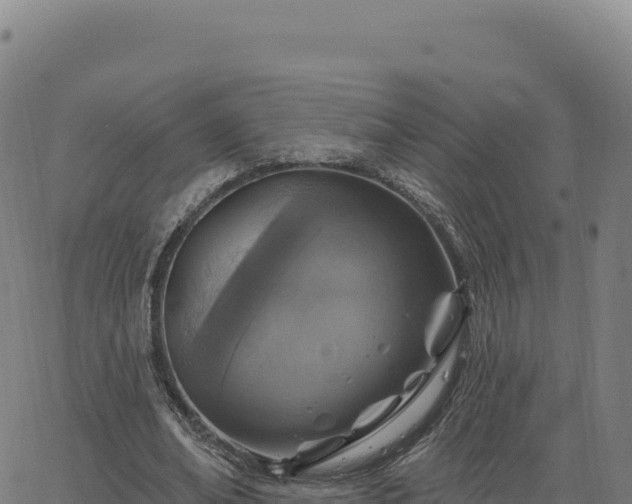 X0000063480678200601271655