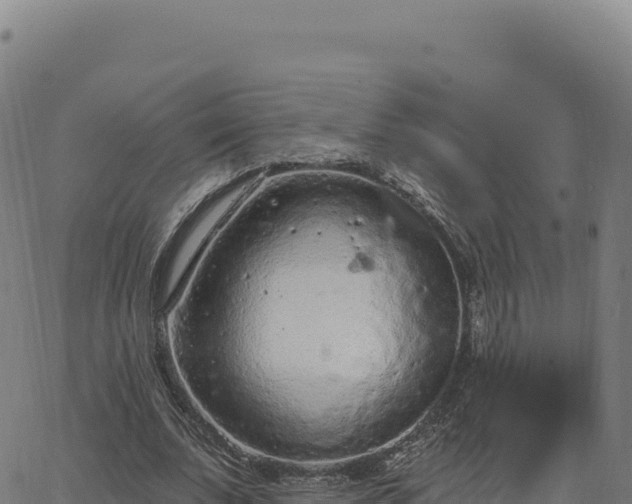 X0000063480679200601271655