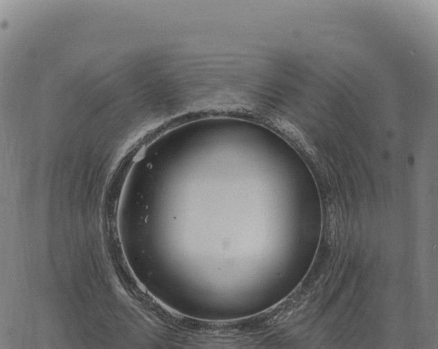 X0000063480680200601271655