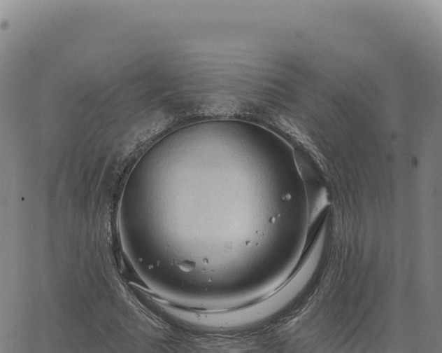 X0000063480681200601271655