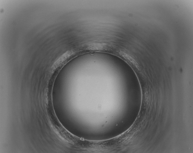 X0000063480682200601271655