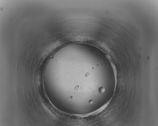 X0000063480683200601271655