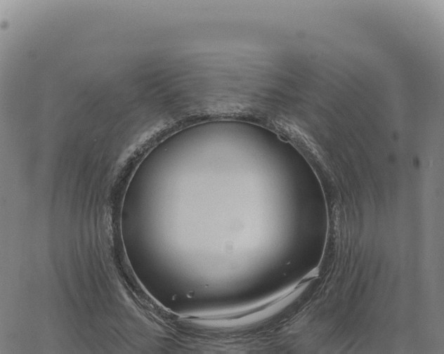 X0000063480684200601271655