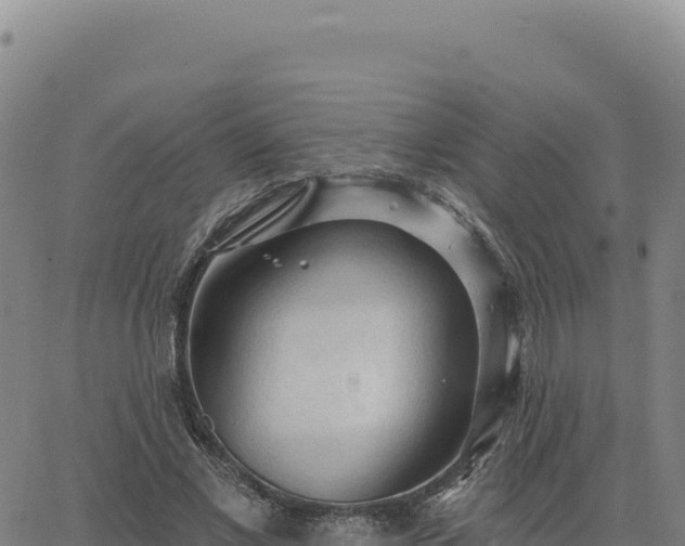 X0000063480685200601271655