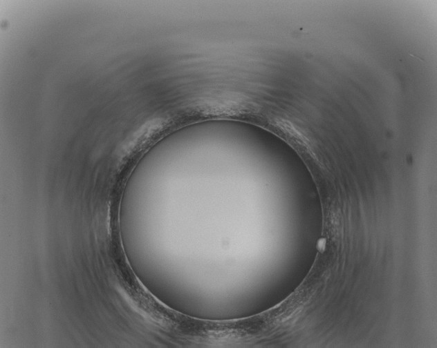 X0000063480686200601271655