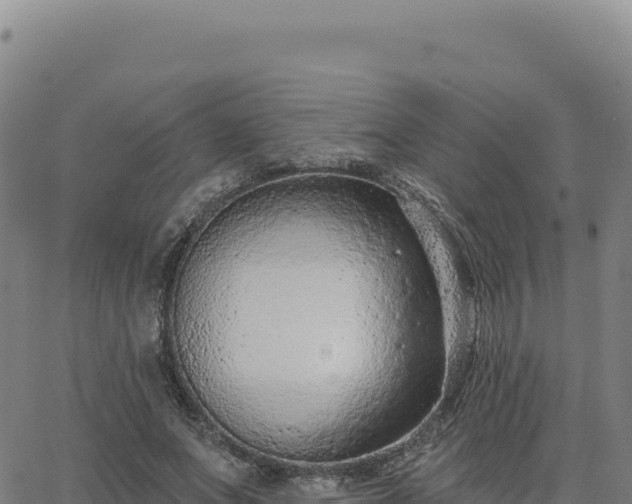 X0000063480687200601271655