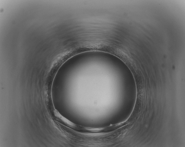 X0000063480688200601271655