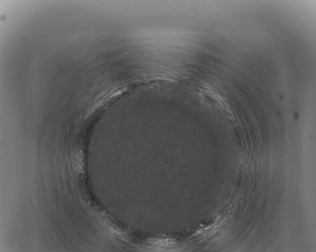 X0000063480689200601271655