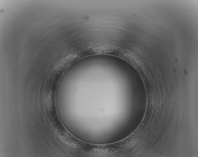 X0000063480690200601271655