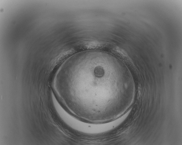 X0000063480691200601271655