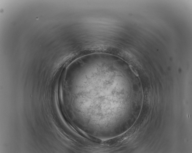 X0000063480692200601271655