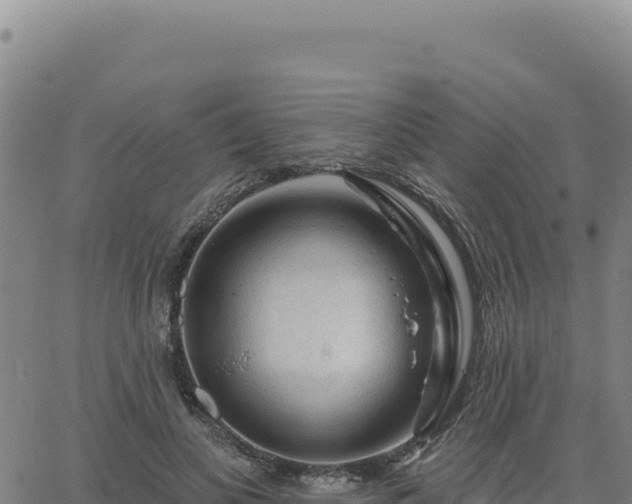 X0000063480693200601271655