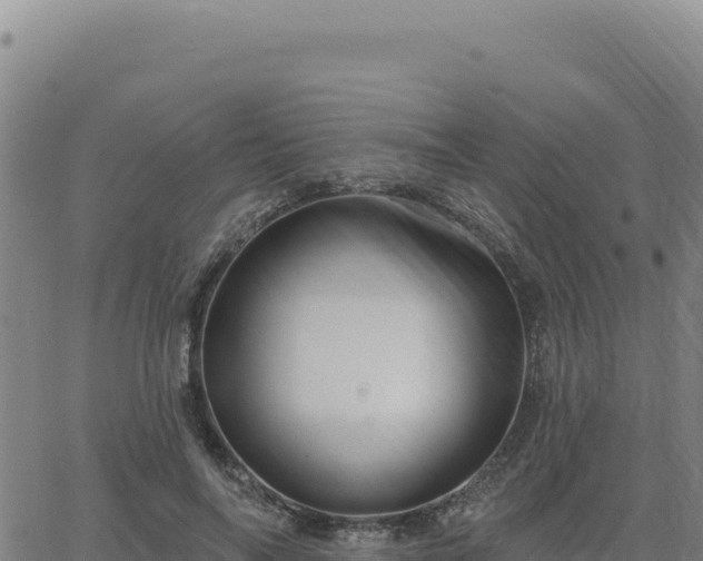 X0000063480694200601271655