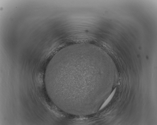 X0000063480695200601271655