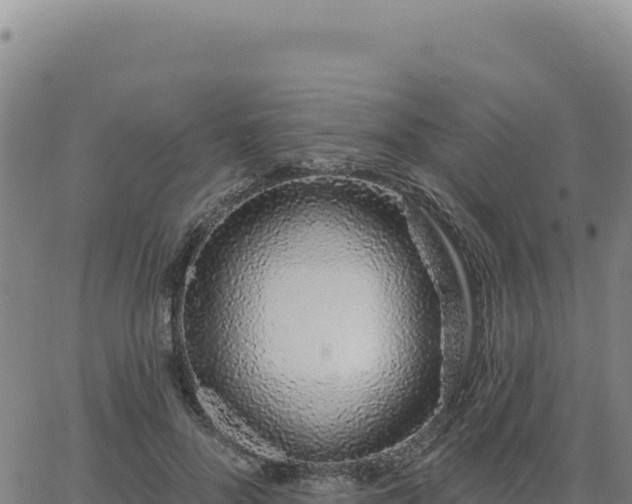 X0000063480696200601271655