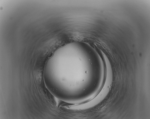 X0000063480697200601271655