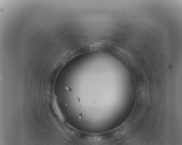 X0000063480698200601271655