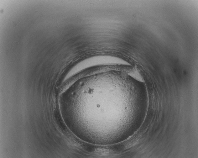 X0000063480699200601271655