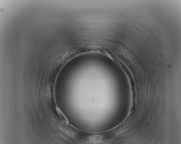 X0000063480700200601271655