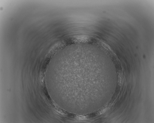 X0000063480701200601271655